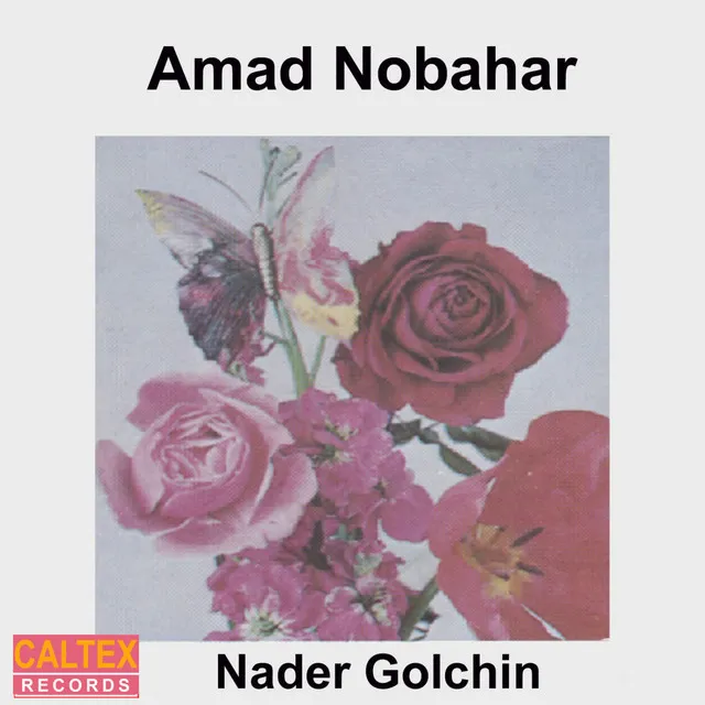 Amad Nobahar - Persian Music