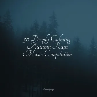 50 Deeply Calming Autumn Rain Music Compilation by Sons da natureza HD