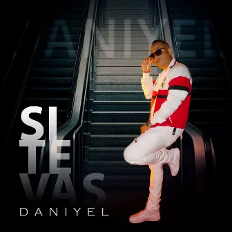 Si Te Vas by Daniyel