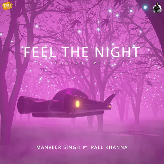 Feel The Night - Punjabi Mix