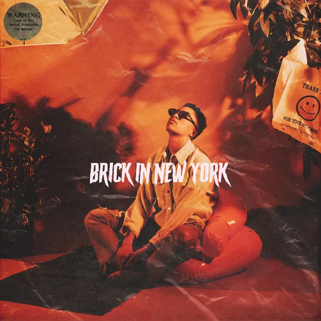 Brick in New York