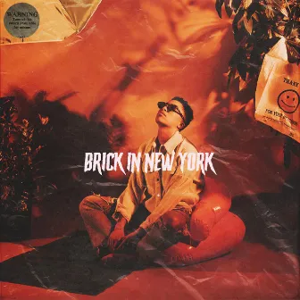 Brick in New York by Delia Dane