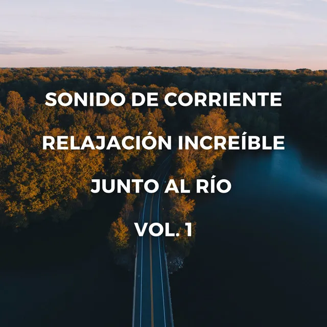 Sonido De Corriente: Relajación Increíble Junto Al Río Vol. 1