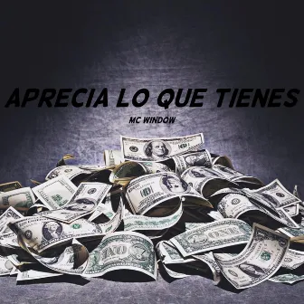 Aprecia lo que tienes by Mc Window