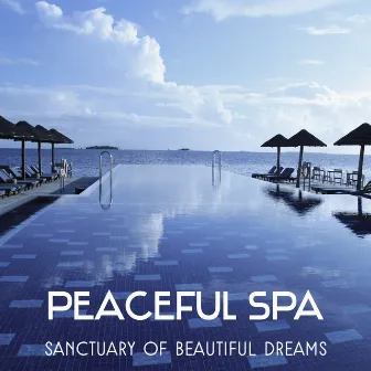 Peaceful Spa – Sanctuary of Beautiful Dreams, Healing Hot Stone Massage, Refresh Your Mind and Body, Nap Regeneration and Stress Reduction, Soothe Your Spirit by Wonderful Spa World