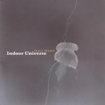 Indoor Universe by Paula Frazer