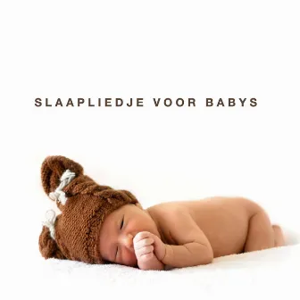 Slaapliedje voor Babys Instrumentale Slaapmuziek ♫ Rustige Baby Muziek ♫ Ontspanningsmuziek by Unknown Artist