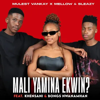 MALI YAMINA EKWIN? (feat. Khensani & Bongs Nwana Mhan) by Mulest Vankay