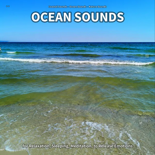 Coastal Sounds