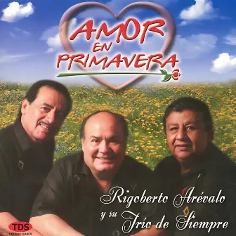 Amor En Primavera by Rigoberto Arévalo y Su Trío De Siempre