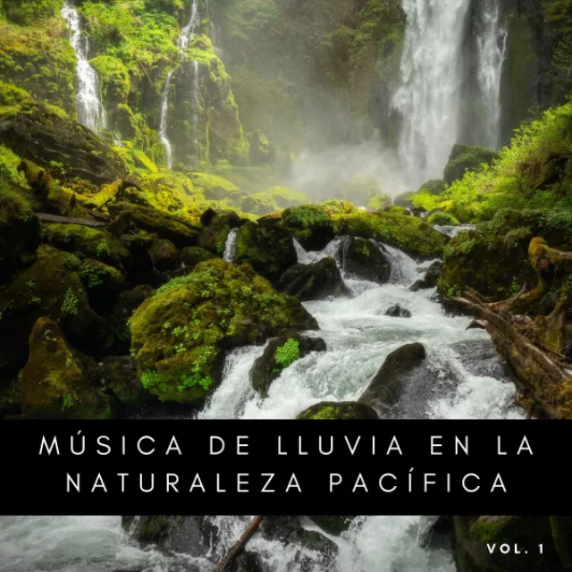 Música De Lluvia En La Naturaleza Pacífica Vol. 1