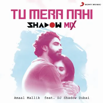 Tu Mera Nahi (feat. DJ Shadow Dubai) [Shadow Mix] by Unknown Artist