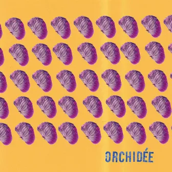 Orchidée by Schmack