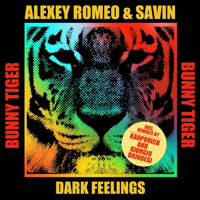 Dark Feelings (Giorgio Brindesi Remix)