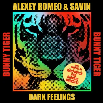 Dark Feelings (Giorgio Brindesi Remix) by Giorgio Brindesi