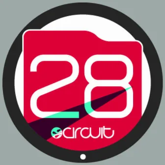 28 Circuit by DSD