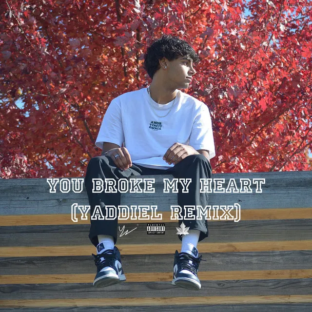 YOU BROKE MY HEART - Yaddiel Remix