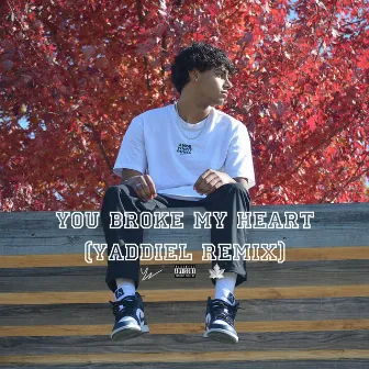 YOU BROKE MY HEART (Yaddiel Remix) by Yaddiel