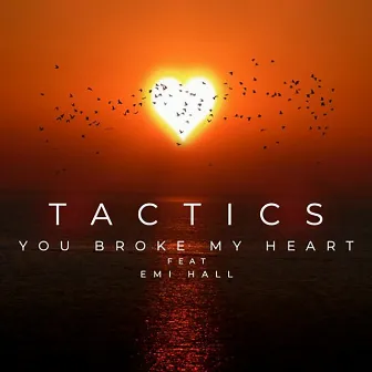 You Broke My Heart by TACTICS