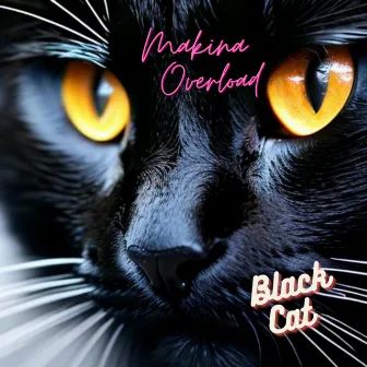 Black Cat by Makina Overload