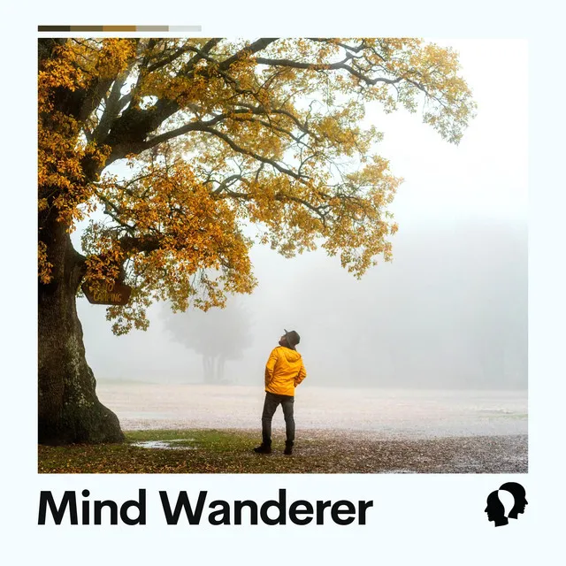 Mind Wanderer