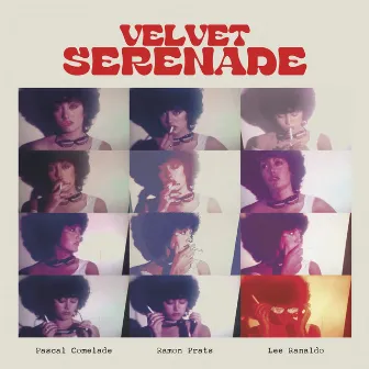 Velvet Serenade by Lee Ranaldo