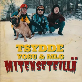 Miten seteillä? by Tsydde