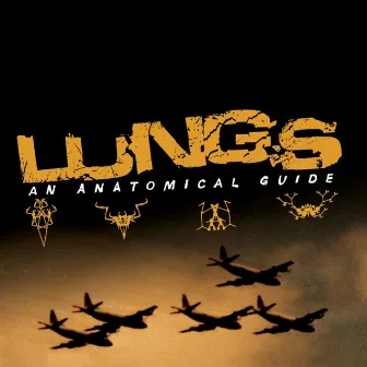 An Anatomical Guide by Lungs