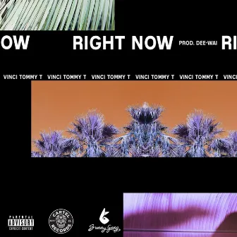 Right Now by Vinci Tommy T