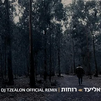 רוחות (Tzealon Remix) by Tzealon