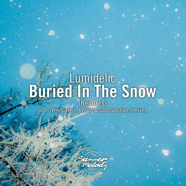 Buried in the Snow - Sub Question Remix