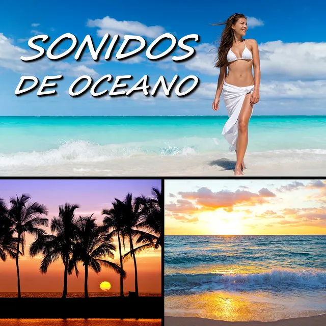 Sonidos De Oceano