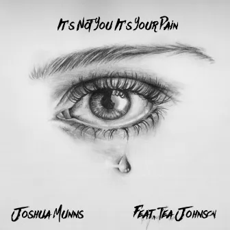 It's Not You It's Your Pain by Joshua Munns