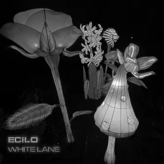 White Lane by Ecilo