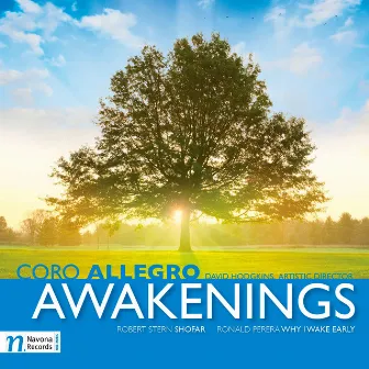 Awakenings by David Hodgkins