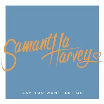 Say You Won't Let Go by Samantha Harvey