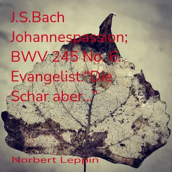 J.S. Bach: Johannespassion; BWV 245 No. 6. Evangelist: 