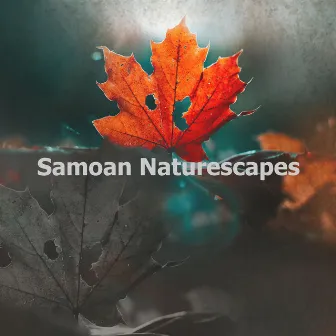 Samoan Naturescapes by Unknown Artist