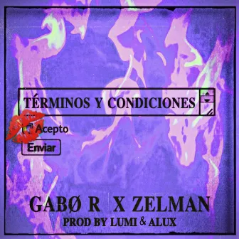 Terminos y Condiciones by Gabø R