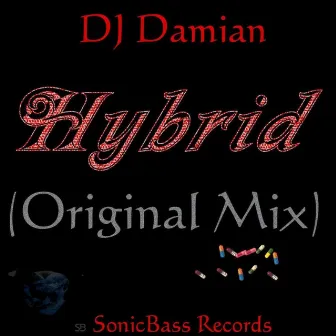 Hybrid by DJ Damian