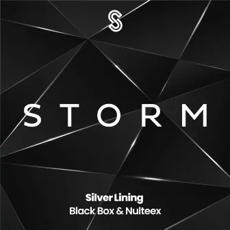 Silver Lining by Black Box