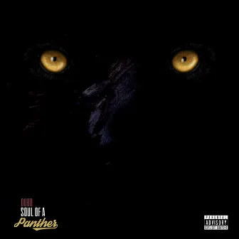 Soul of a Panther by DUBB