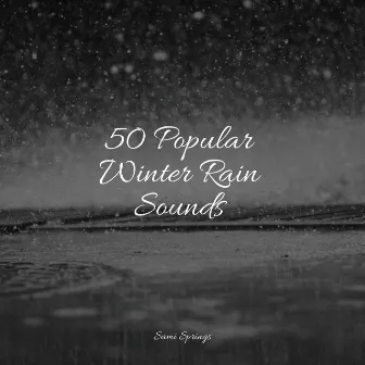 50 Popular Winter Rain Sounds by Rain Sounds For Sleep