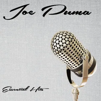 Essential Hits by Joe Puma