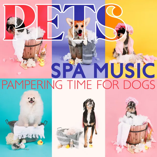 Dog Spa Music – Dog Salon