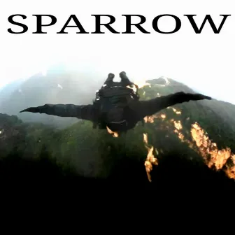 Sparrow by Remedy