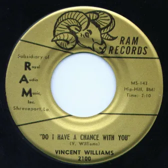 Do I Have a Chance with You by Vincent Williams