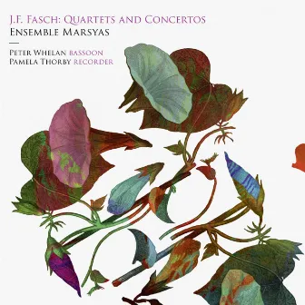 Fasch: Quartets and Concertos by Ensemble Marsyas