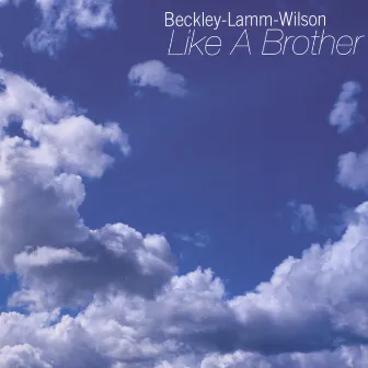 Like A Brother by Beckley Lamm Wilson