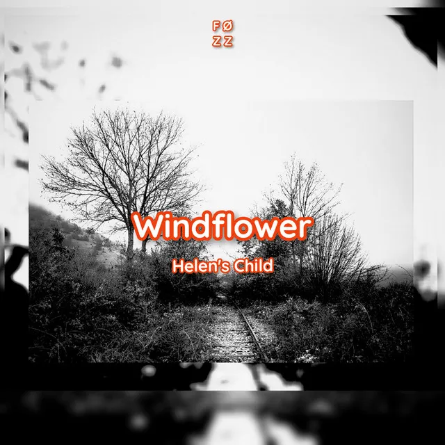 Windflower